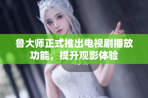 鲁大师正式推出电视剧播放功能，提升观影体验