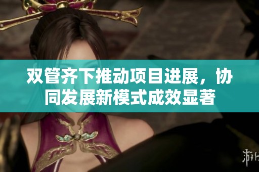 双管齐下推动项目进展，协同发展新模式成效显著