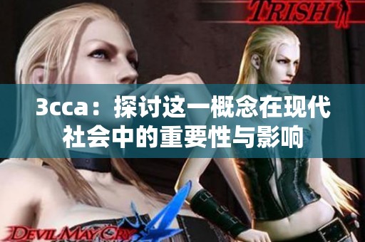 3cca：探讨这一概念在现代社会中的重要性与影响