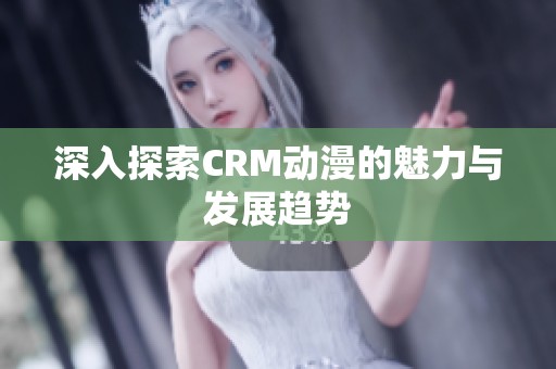 深入探索CRM动漫的魅力与发展趋势