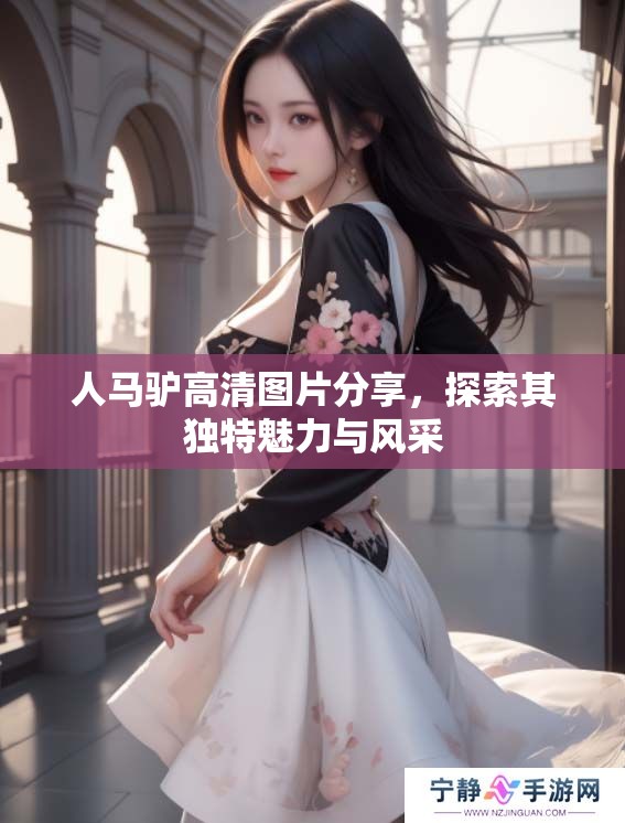 人马驴高清图片分享，探索其独特魅力与风采