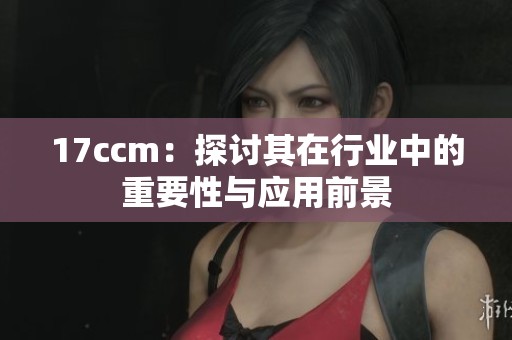 17ccm：探讨其在行业中的重要性与应用前景