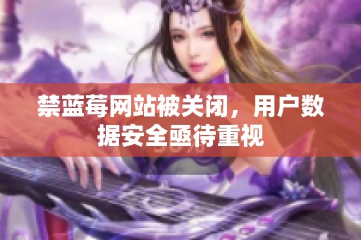 禁蓝莓网站被关闭,用户数据安全亟待重视 禁蓝莓网站被关闭,用户数据安全亟待重视