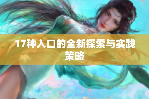 17种入口的全新探索与实践策略