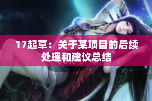 17起草：关于某项目的后续处理和建议总结