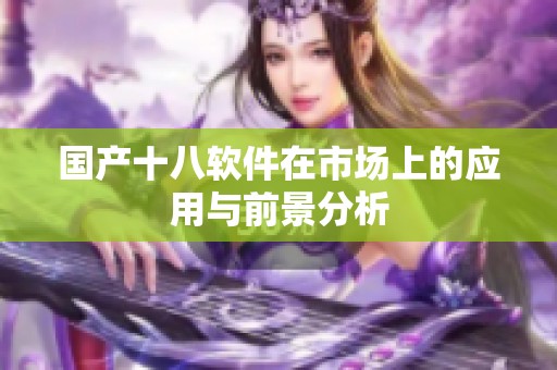 国产十八软件在市场上的应用与前景分析